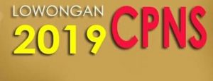 Asik, Rekrutmen CPNS 2019 Dibuka Bulan Depan
