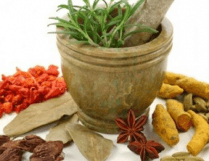 Obat Herbal Asli Indonesia Goes To Dunia