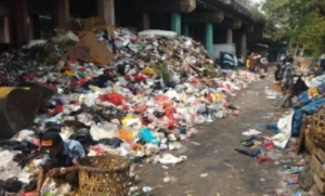 Bau Tak Sedap Gara-Gara Sampah, Lurah Sungai Bambu: Saya Tidak Takut dan Pasrah