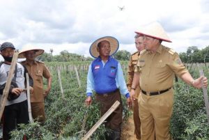 Gubernur Arinal Turun Langsung Dengar Keluhan Petani