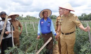 Gubernur Arinal Turun Langsung Dengar Keluhan Petani