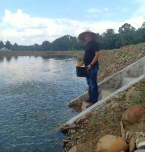 Petani Ikan Nila di Kali Abung Butuh Perhatian Dinas Perikanan