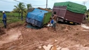 Duh Kasihan,Akibat Jalan Rusak, Mobil Bermuatan Terperosok Di Jalan Rawajitu, Tulang Bawang