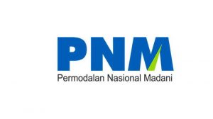 Ditaksir, PNM Bakal Salurkan Rp14,7 T Hingga Desember 2020