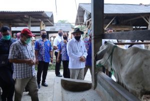 Wagub Nunik: Kelompok Ternak sebagai Koperasi Mempermudah Beri Dukungan