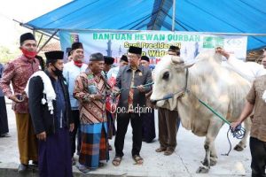 Sekda Fahrizal Wakili Pemprov Serahkan Sapi Kurban Presiden RI Joko Widodo Seberat 947 Kg pada Jamaah Masjid Al-Mu’Minun Way Jepara, Lamtim