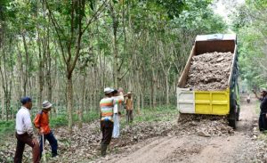 Iyes! Paslon Bersinar Bantu Perbaiki Jalan Penghubung di Bogorejo