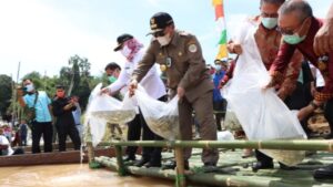 Tebar Benih Ikan, Gubernur Ajak Masyarakat Lestarikan Sumber Daya Alam di Tulang Bawang