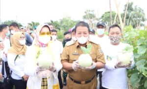 Agro Park Lampung Diresmikan, Gubernur Lampung Minta Dijadikan Wisata Edupark