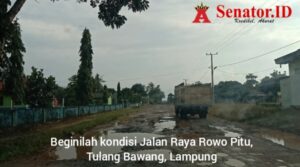 Jalan Berlobang Parah! Ini Harapan Warga kepada Bupati Tulang Bawang Winarti