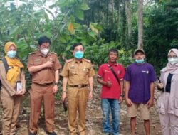 Kadis Perkebunan Lampung Sambangi PT Olam di Pesawaran