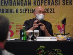 Pemerintah Pusat Dukung Pembiayaan UMKM dan Koperasi