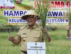 Jadi yang Terbaik, Gubernur Lampung Sabet Penghargaan Abdi Bakti Tani 2021