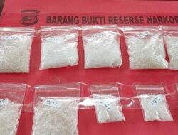 Sabu Senilai Rp100 Juta Di Sita Polres Tanggamus, 7 Tersangka Terancam Hukuman Mati