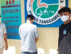 Pria 31 Tahun Ditangkap Satresnarkoba Polres Tanggamus, Amankan 8,77 Gram Sabu
