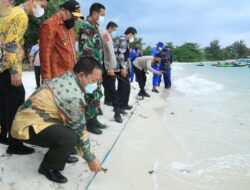 Gubernur Lampung dan Gubernur Babel Lepaskan Anak Penyu ke Laut