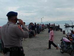 Buaya Sepanjang 2 Meter Muncul di Dermaga Kota Agung