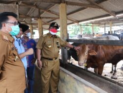 Serahkan Penghargaan Klaster Ketahanan Pangan, Arinal Minta Peningkatan Produktifitas Ternak Sapi