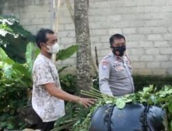 Bhabinkamtibmas Bripka Epri Mohansyah Monitoring Penyakit Mulut dan Kuku Hewan Ternak di Air Naningan, Ini Hasilnya!