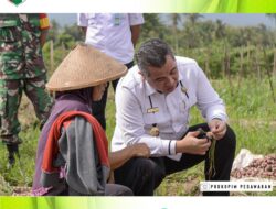 Pesawaran Panen Raya Bawang Merah