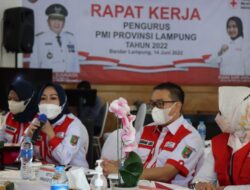 Riana Minta Kabupaten/kota Galakkan Donor Darah