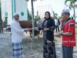 Winarti Kurban 1 Sapi Besar, ASN Tuba Kurban 5 Sapi, 2 Kerbau