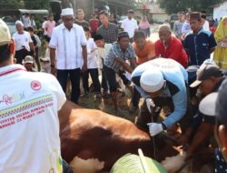 Idul Adha, Polres Tulang Bawang Sembelih 7 Ekor Sapi 1 Kambing