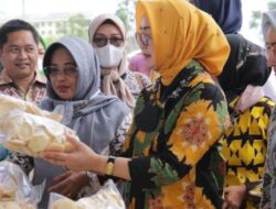 Pemprov Lampung Gelar Bazar Produk UKM/IKM dan Pasar Murah di Pringsewu