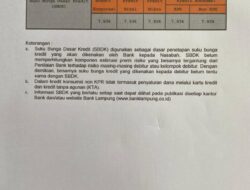 Ini Besaran Suku Bunga Dasar Kredit Bank Lampung Periode 31 Juli 2022