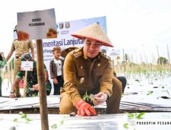 Bupati Dendi Sambangi Kegiatan Gerakan Tamam Cabe Tegineneng