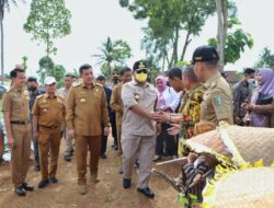 Gubernur Arinal Lakukan Gerakan Tanam Cabai di Pesawaran