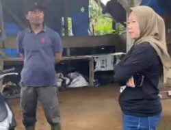 Harga Turun, Anggota DPRD Fraksi PDI-P Lampung Langsung Tinjau Petani Tomat Lambar