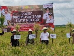 Wakili Gubernur, Asisten Bidang Perekonomian dan Pembangunan Hadiri Panen Raya Nusantara di Kelompok tani Adem Ayem Lampung Tengah