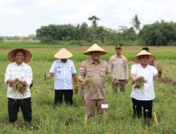 Bupati Musa Ahmad Hadiri Acara Implementasi Lanjutan GNPIP