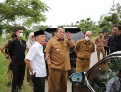 Arinal Tinjau Lokasi Pembangunan Gerbang Ikonik di Jl Ruacudu