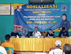 Mardiana Sosper Perda Perlindungan dan Pemberdayaan UMKM