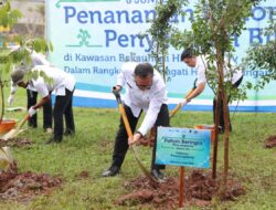 Pemprov Lampung Kasih Bibit Pohon ke Kawasan Wisata Krakatau Park Harbour City