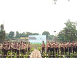 Percepat Perlindungan Ekosistem, Apical Tanam 3.000 Pohon Mangrove di Jakarta