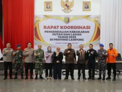 Arinal Pimpin Rakor Karhutla