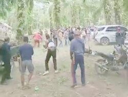 Pasca Bentrok antara Warga dan Karyawan KCMU, Bupati Pesisir Barat Minta Polisi Tegakkan Hukum!