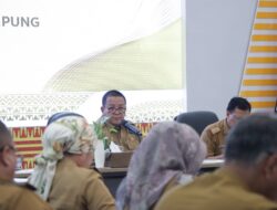 Antisipasi Dampak El Nino, Pemprov Lampung Pastikan  Ketersediaan Pangan