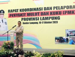 Arinal Pimpin Rakor dan Pelaporan PMK