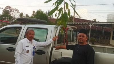 Bri Indra, Warga Pulung Kencana yang Lestarikan Pohon Isem Kembang