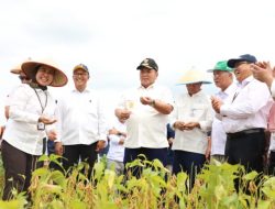 Rektor Unila bersama Gubernur Lampung Panen Perdana Kedelai Kebun Percobaan FP