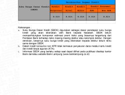 Ini Besaran Suku Bunga Dasar Kredit Bank Lampung Periode 30 September 3023