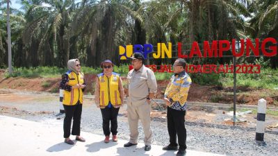 Inpres Jalan Daerah, Gubernur Lampung Arinal Tinjau Jalan dan Jembatan di Mesuji