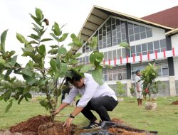 Percantik Rest Area, Pengelola Tol Bakauheni – Terbanggi Besar Tanam Bibit Pohon Jambu