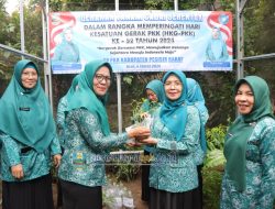 Peringati Hari Kesatuan Gerak PKK Ke-52, TP-PKK Pesibar Ikuti Gerakan Tanam Cabai