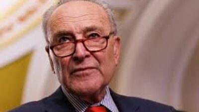 Senator Amerika Serikat  Chuck Schumer Serukan Pemilu Baru di Israel