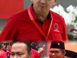 Kirim Ahok di Pilgub Sumut, Koalisi PDIP, Perindo dan PPP juga Solid di Pilkada Sulsel dan NTB